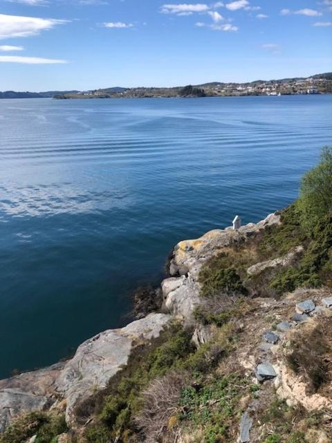 Koselig Nyoppusset 3 Roms Leilighet Med Egen Parkeringsplass I Rolige Omgivelse Naer Sjoen, 2 Mil Nord For Bergen Sentrum. מראה חיצוני תמונה